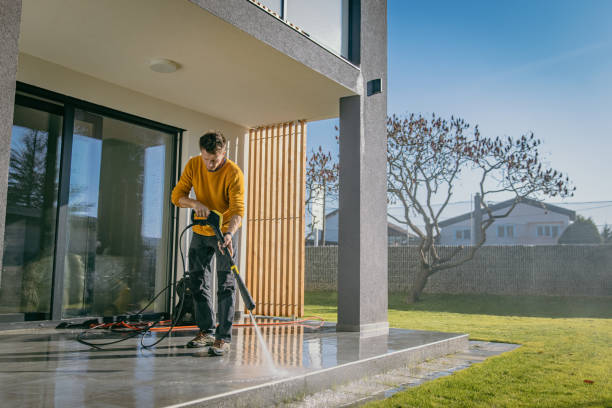 Best Roof Washing  in Germantown Hls, IL